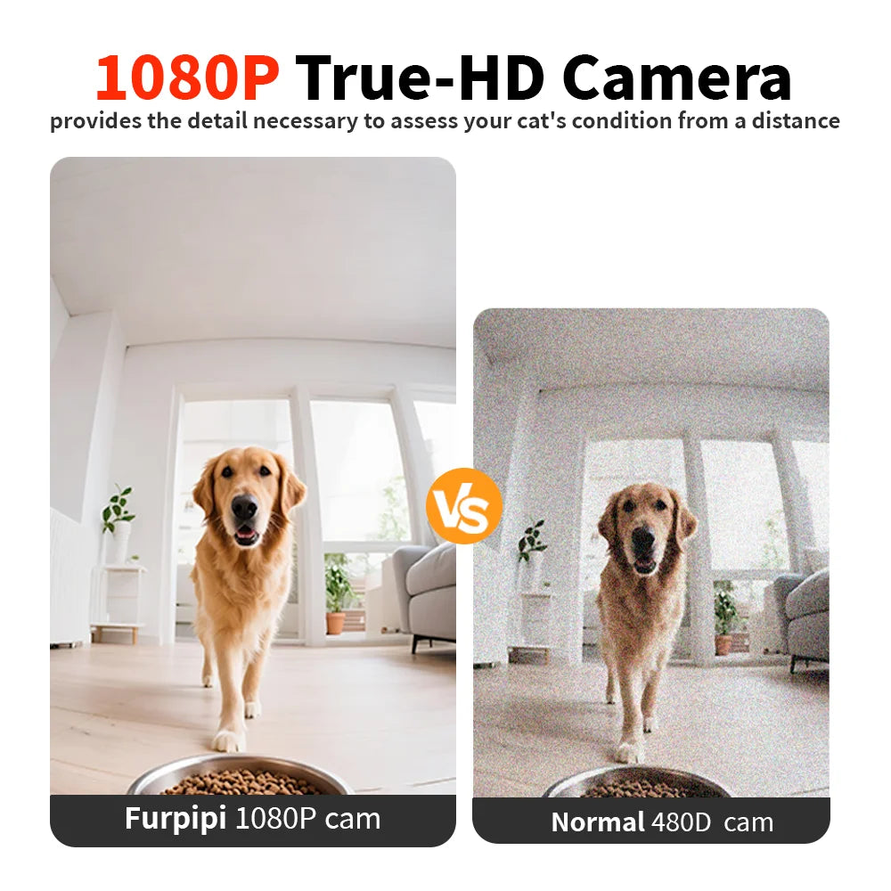 Distributeur automatique de nourriture pour chats 8L avec caméra vidéo 1080p, Wi-Fi 5G, distributeur d'aliments pour chats, enregistreur vocal intelligent pour animaux de compagnie, application Tuya, distributeur automatique pour animaux de compagnie