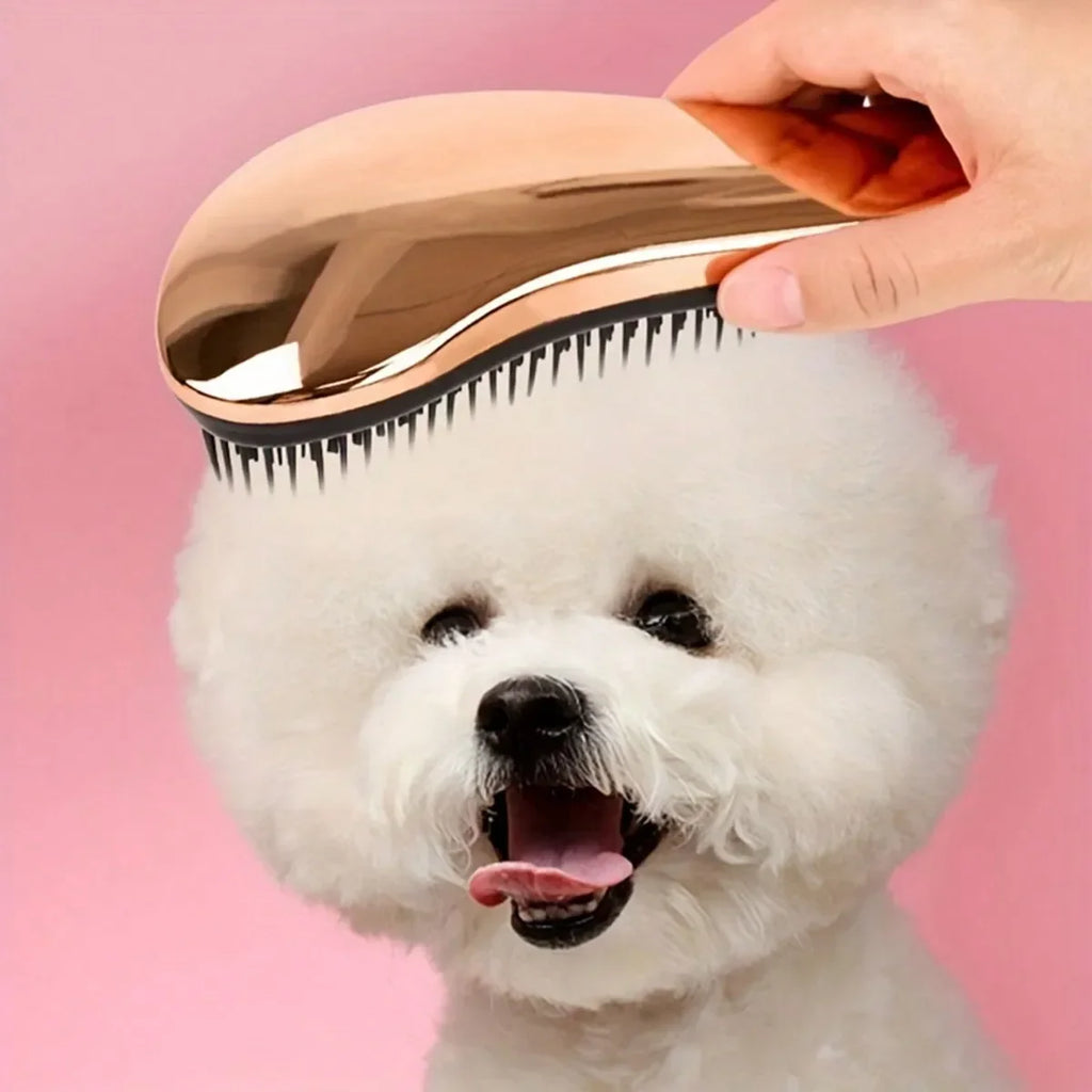 Brosse de toilettage et de massage 2 en 1 pour chien Élimine les poils et détend votre animal Parfaite pour le bain Conception flottante pour une utilisation facile