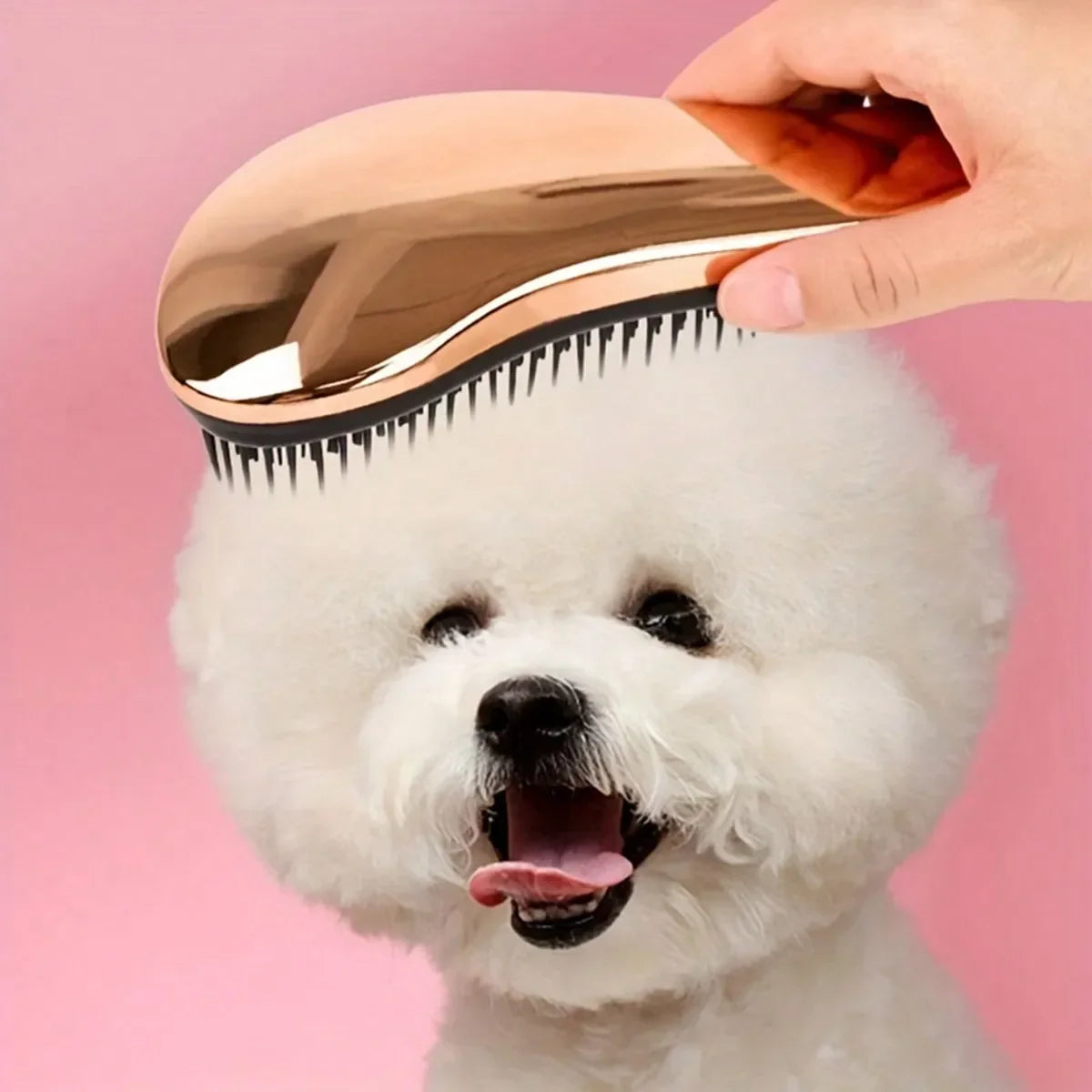 Brosse de toilettage et de massage 2 en 1 pour chien Élimine les poils et détend votre animal Parfaite pour le bain Conception flottante pour une utilisation facile