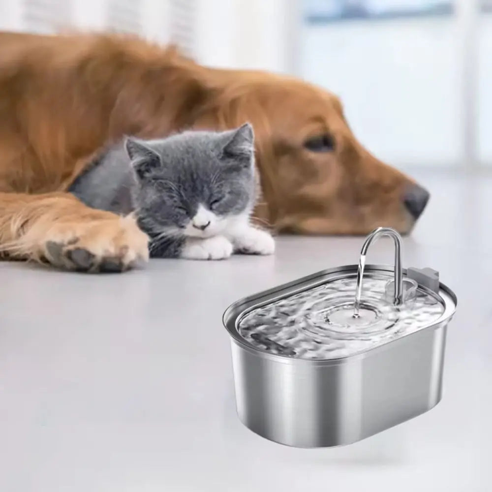 Fontaine à eau intelligente pour chat de 3,2 L, distributeur automatique d'eau pour animaux de compagnie, faible bruit, en acier inoxydable, grande capacité, pour les vacances