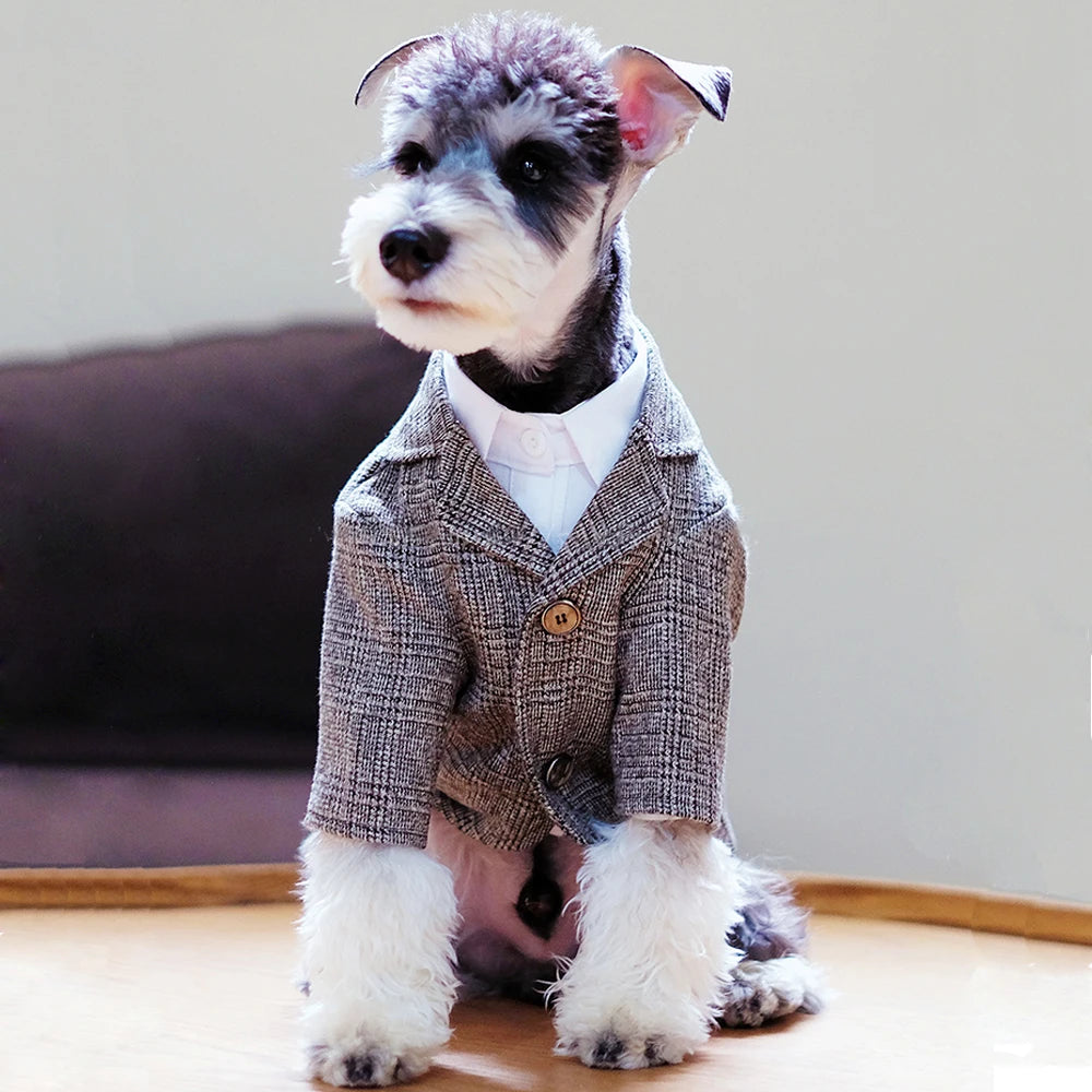 🐶 Gentleman dog suit | Comfortable and premium formal style ⭐ 4.8/5 (1,200+ customers)