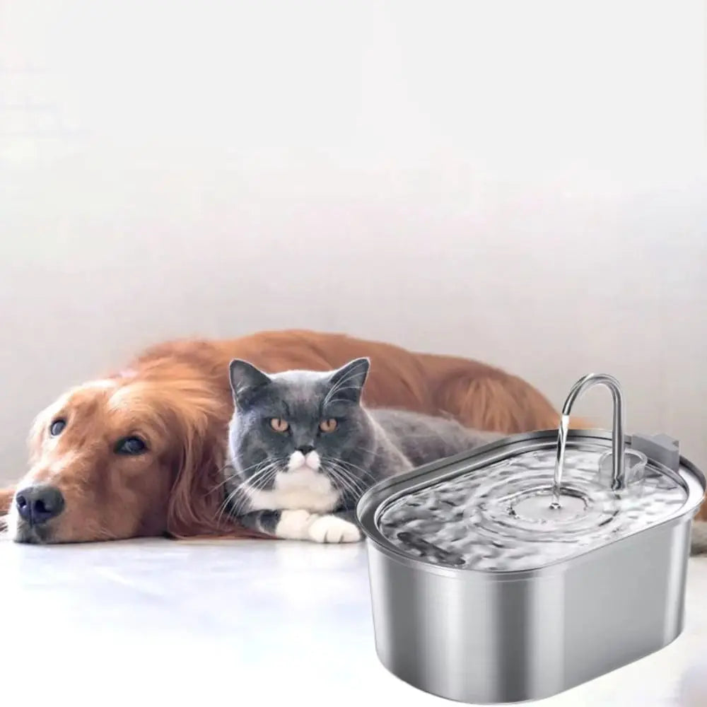 Fontaine à eau intelligente pour chat de 3,2 L, distributeur automatique d'eau pour animaux de compagnie, faible bruit, en acier inoxydable, grande capacité, pour les vacances