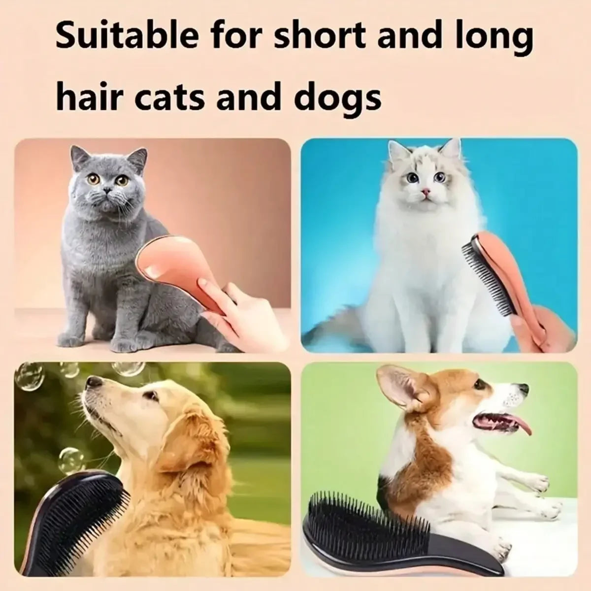 Brosse de toilettage et de massage 2 en 1 pour chien Élimine les poils et détend votre animal Parfaite pour le bain Conception flottante pour une utilisation facile