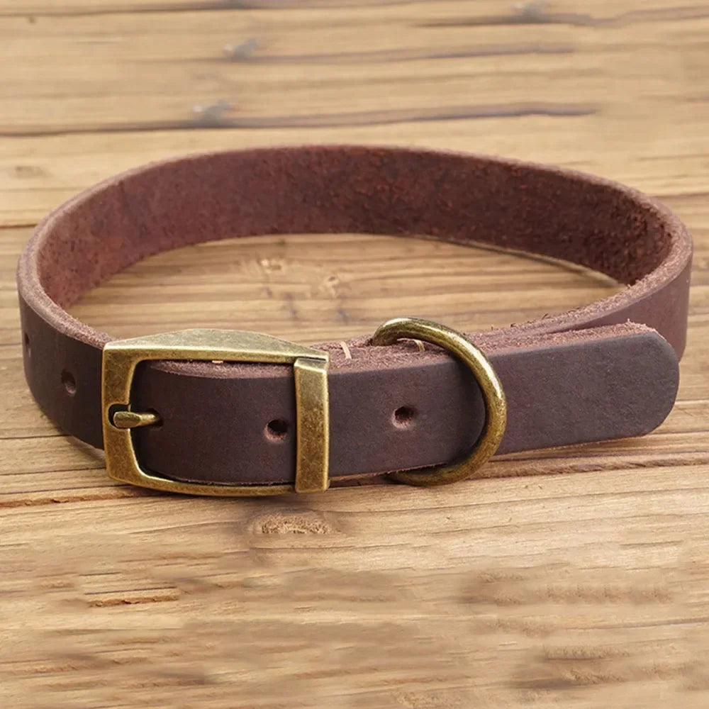 🐶 Collier en cuir pour chien, robuste et élégant – Maîtrise totale et confort maximal