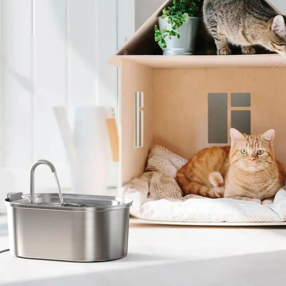 Fontaine à eau intelligente pour chat de 3,2 L, distributeur automatique d'eau pour animaux de compagnie, faible bruit, en acier inoxydable, grande capacité, pour les vacances