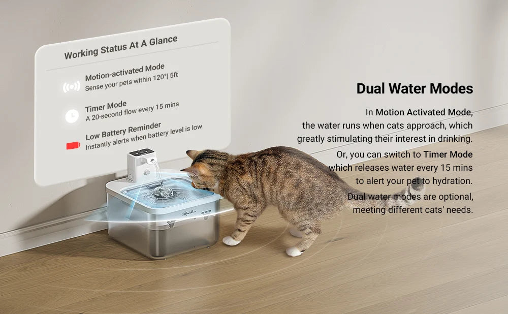 DownyPaws 2,5L Fontaine à Eau Automatique en Acier Inoxydable pour Chat 4000mAh Abreuvoir Sans Fil pour Animaux de Compagnie Batterie et Capteur Distributeur 2 en 1