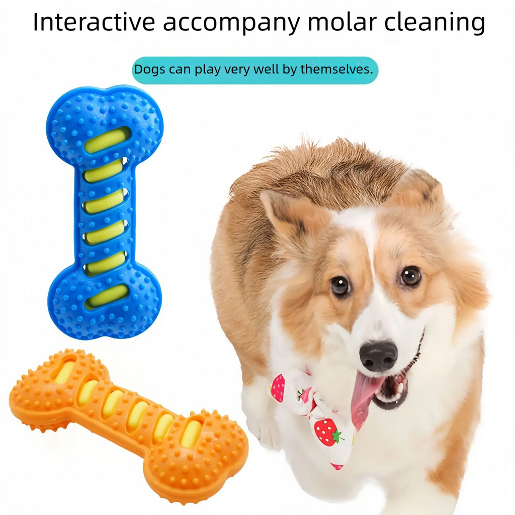 🐶 Jouet à mâcher résistant pour chiens – Réduit le stress et protège vos meubles