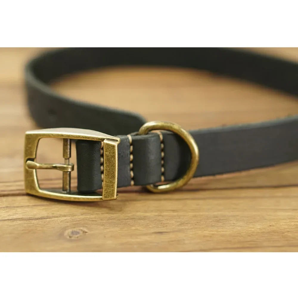🐶 Collier en cuir pour chien, robuste et élégant – Maîtrise totale et confort maximal