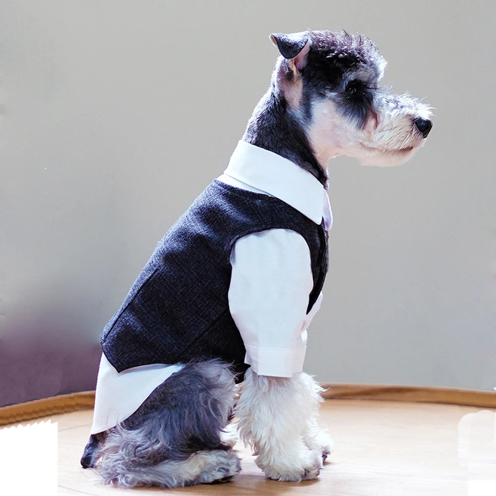🐶 Gentleman dog suit | Comfortable and premium formal style ⭐ 4.8/5 (1,200+ customers)