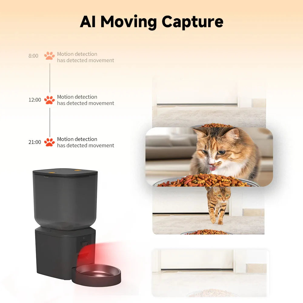 Distributeur automatique de nourriture pour chats 8L avec caméra vidéo 1080p, Wi-Fi 5G, distributeur d'aliments pour chats, enregistreur vocal intelligent pour animaux de compagnie, application Tuya, distributeur automatique pour animaux de compagnie