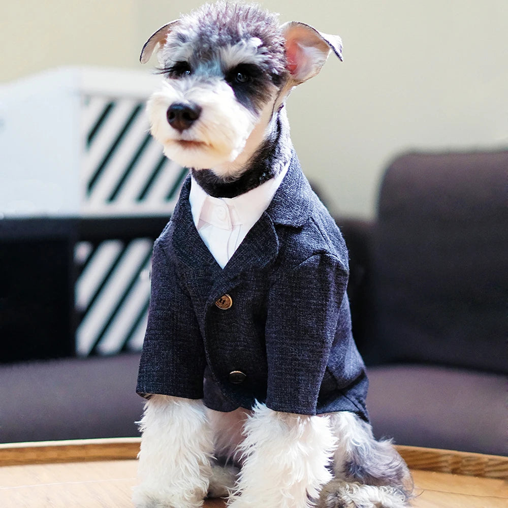 🐶 Gentleman dog suit | Comfortable and premium formal style ⭐ 4.8/5 (1,200+ customers)