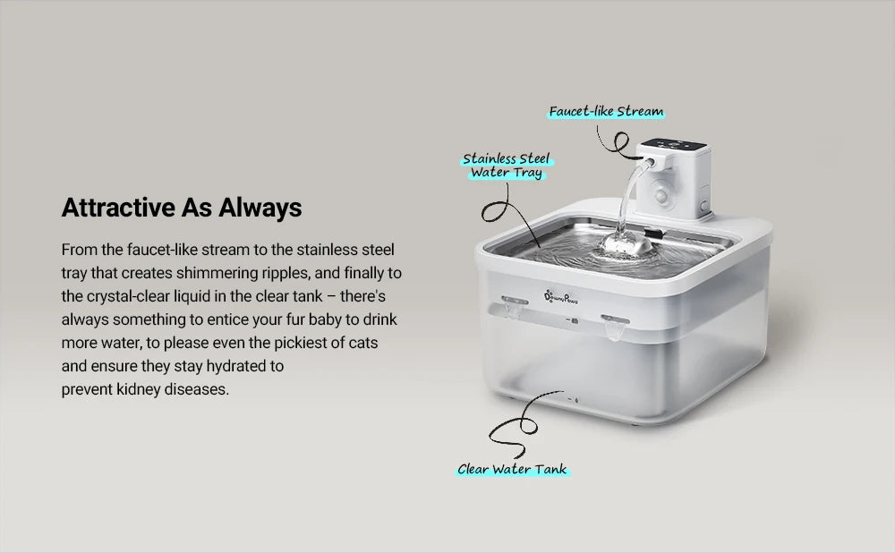 DownyPaws 2,5L Fontaine à Eau Automatique en Acier Inoxydable pour Chat 4000mAh Abreuvoir Sans Fil pour Animaux de Compagnie Batterie et Capteur Distributeur 2 en 1