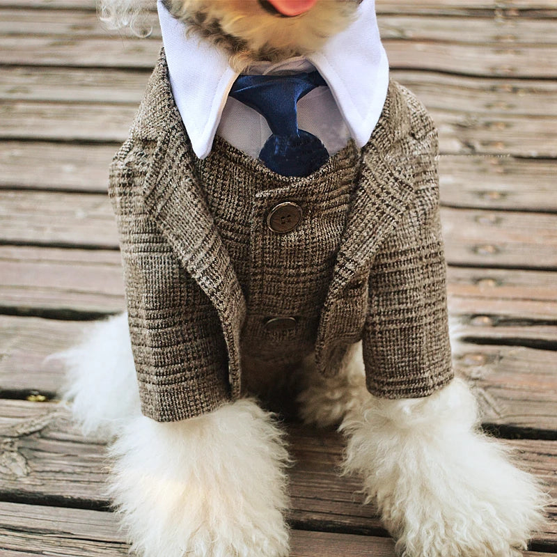 🐶 Gentleman dog suit | Comfortable and premium formal style ⭐ 4.8/5 (1,200+ customers)
