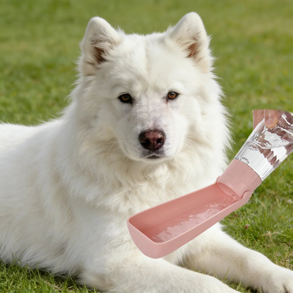 🐶 Bouteille portable pour chiens avec système anti-fuite – Hydratation facile à chaque promenade