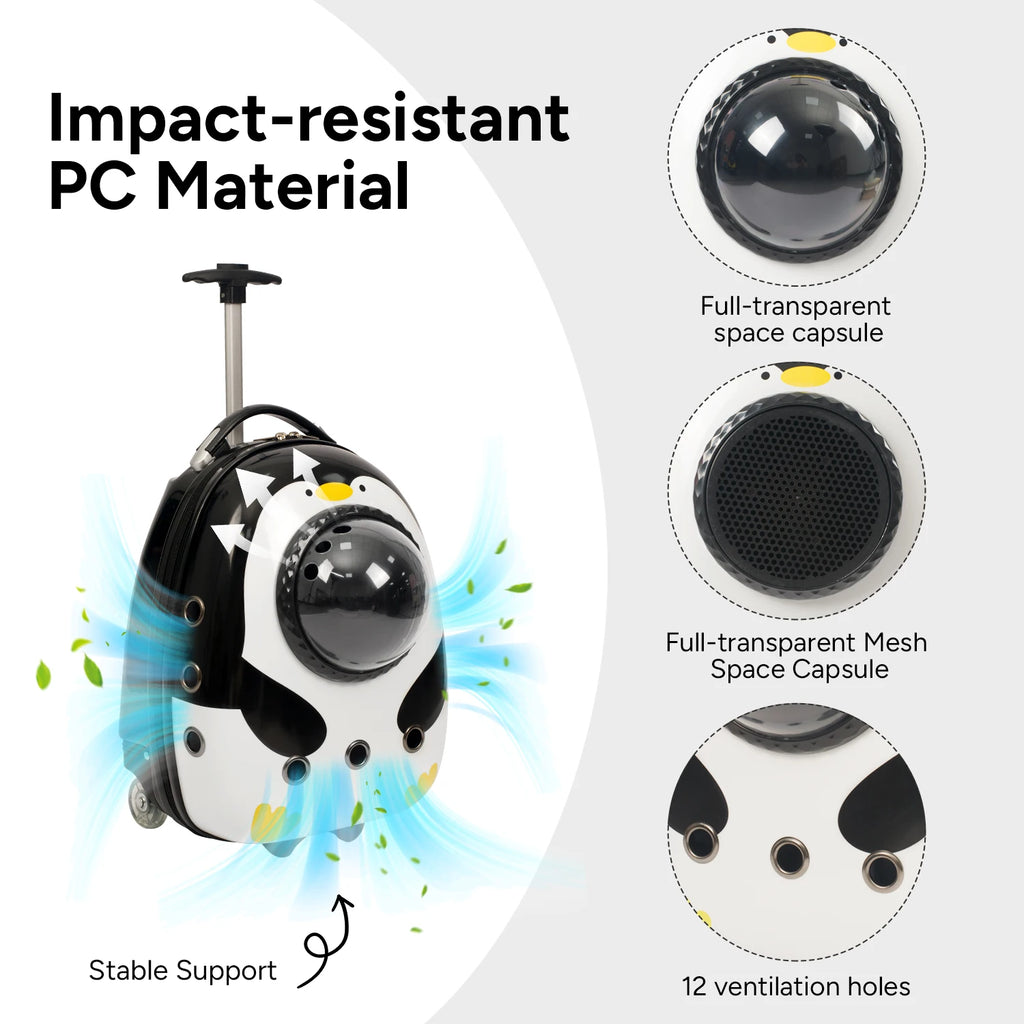 Sac à dos de transport pour chat 2 en 1, valise pour chats chiens petits chiots, sac à dos respirant pour l'extérieur, la randonnée et les voyages