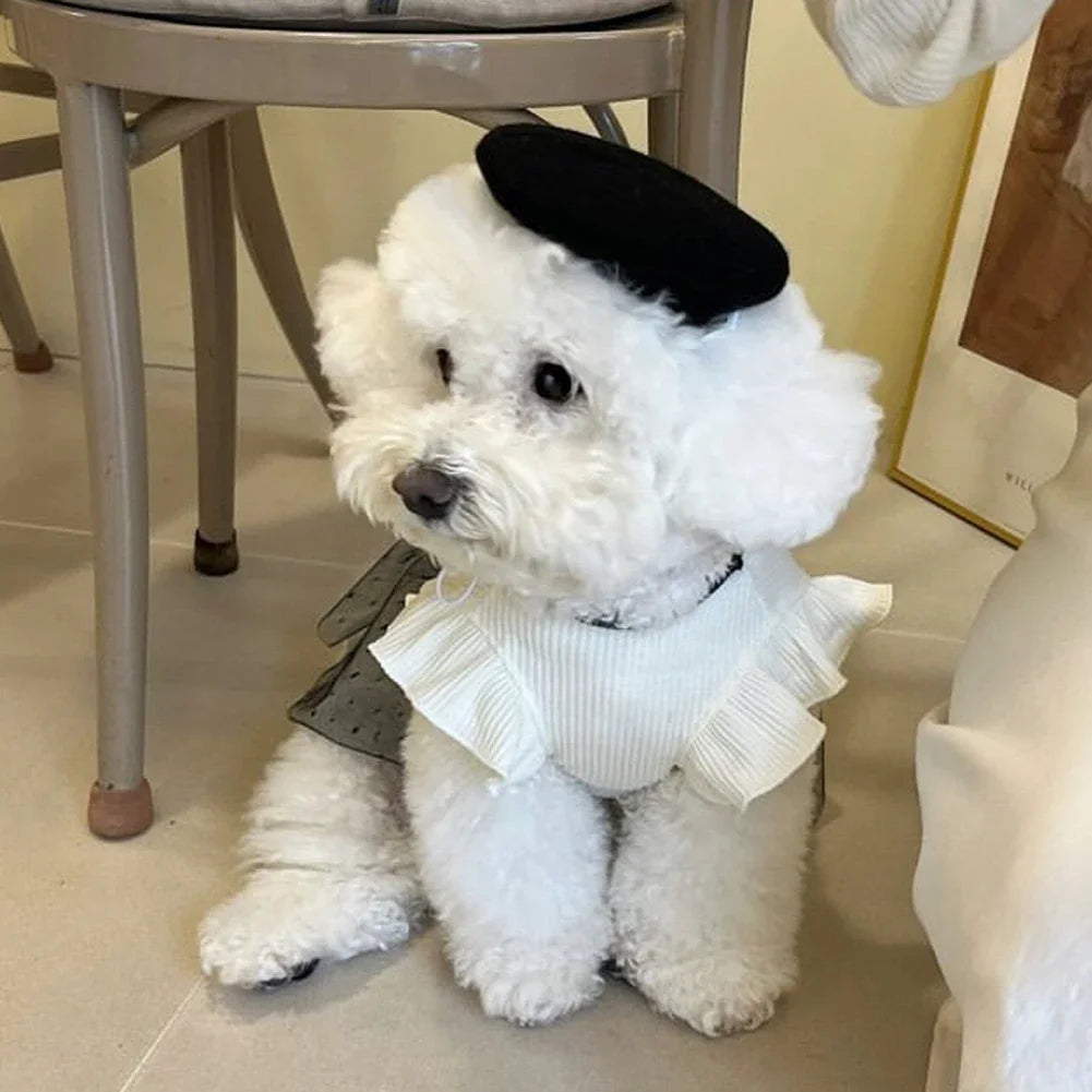 Dog Dress for Small Dogs Luxury Summer Puppy Clothes Bow Lace Dog Skirt Black White Dog T-Shirt Girls Dog Costume Chihuahua Vest