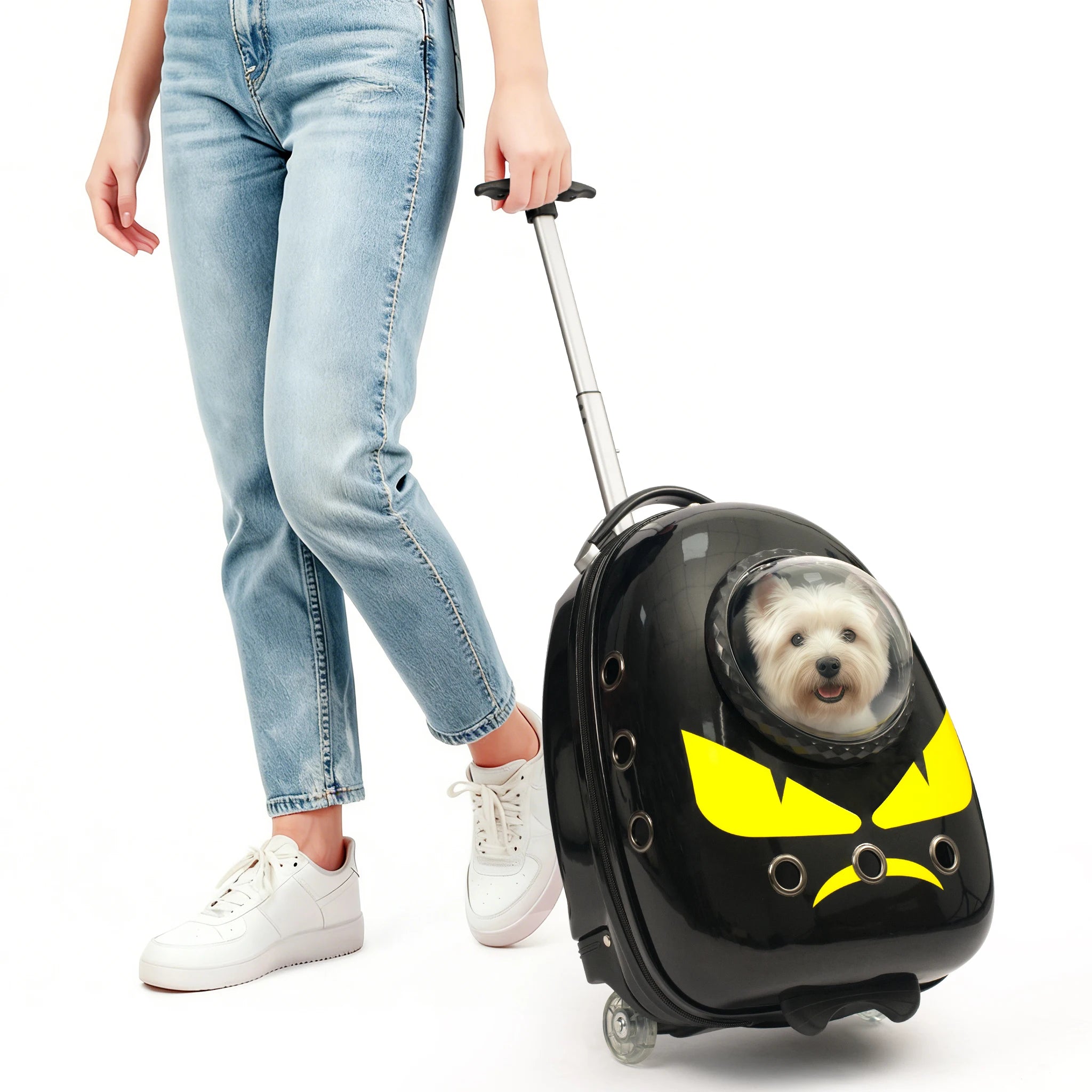 Sac à dos de transport pour chat 2 en 1, valise pour chats chiens petits chiots, sac à dos respirant pour l'extérieur, la randonnée et les voyages