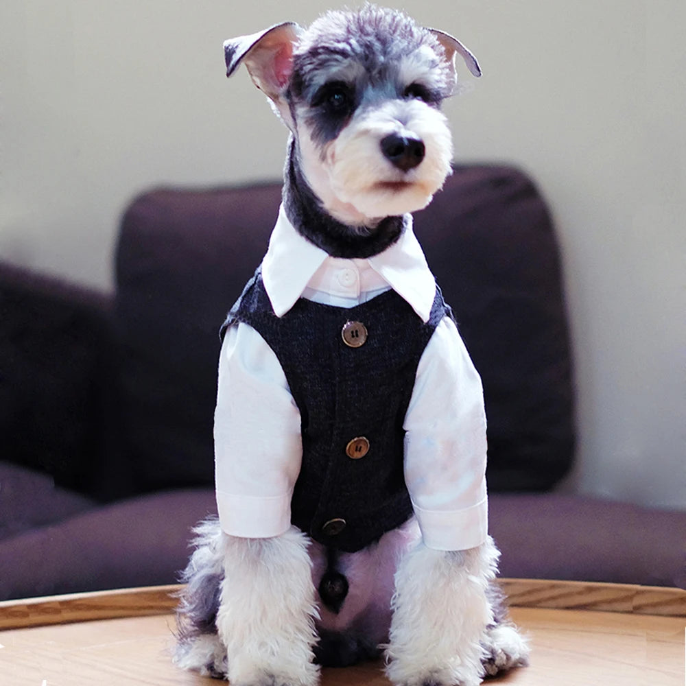 🐶 Gentleman dog suit | Comfortable and premium formal style ⭐ 4.8/5 (1,200+ customers)