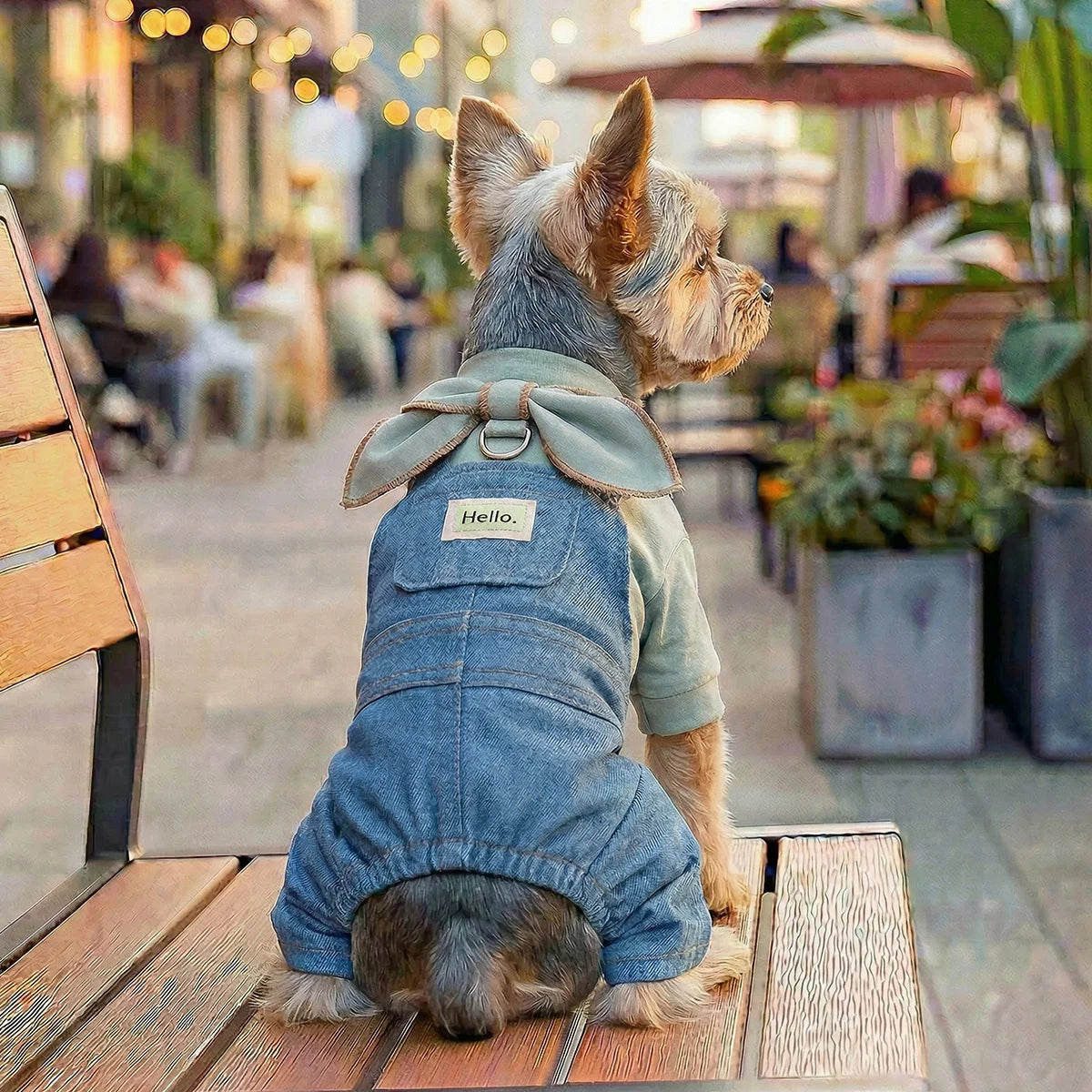 🐶 Vêtements en jean pour chiens style salopette | Confortable, respirant et look moderne ⭐ 4.8/5 (1 200+ clients)