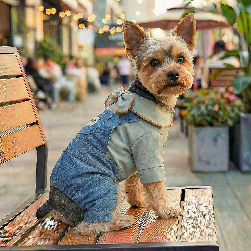 🐶 Vêtements en jean pour chiens style salopette | Confortable, respirant et look moderne ⭐ 4.8/5 (1 200+ clients)
