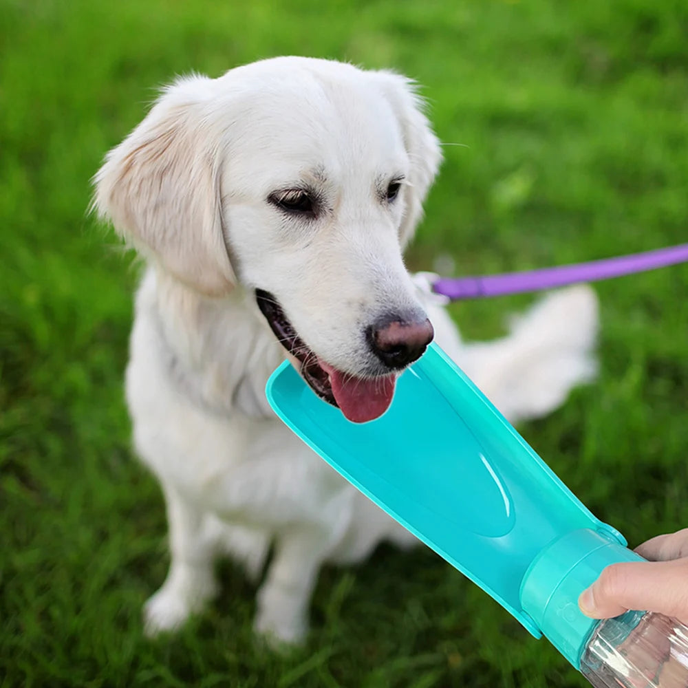 🐶 Bouteille portable pour chiens avec système anti-fuite – Hydratation facile à chaque promenade