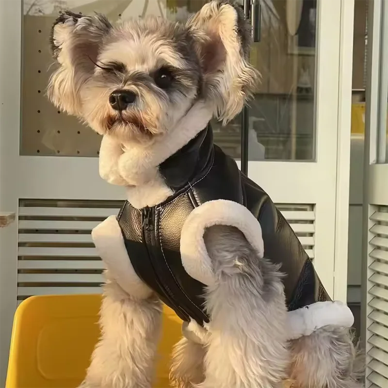 Veste pour chien - Automne/Hiver - Épais velours - Cuir - Sans manches - Gilet - Débardeur - Manteau intégré - Vêtements pour chiots petits chiens