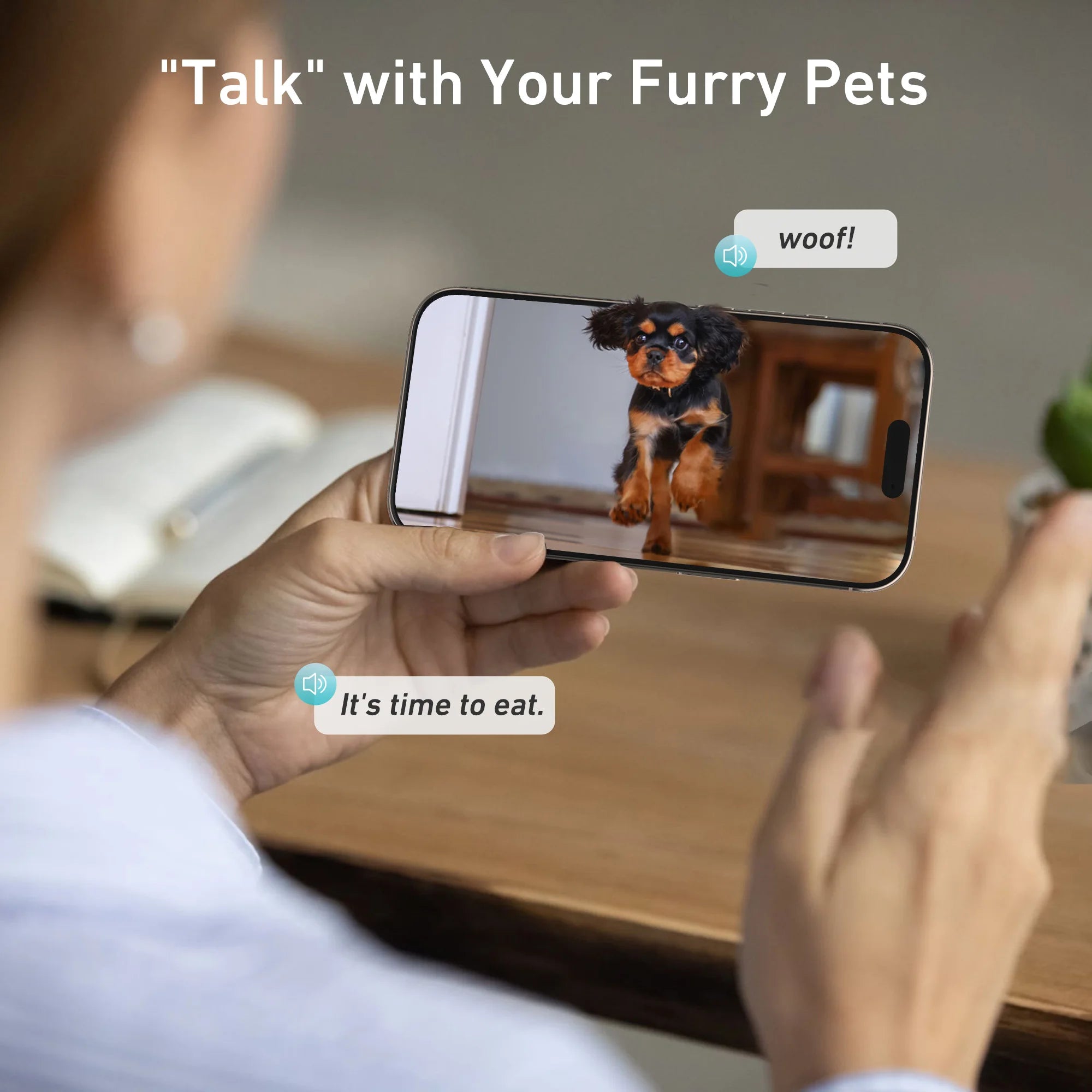 Distributeur automatique de nourriture pour chats 8L avec caméra vidéo 1080p, Wi-Fi 5G, distributeur d'aliments pour chats, enregistreur vocal intelligent pour animaux de compagnie, application Tuya, distributeur automatique pour animaux de compagnie