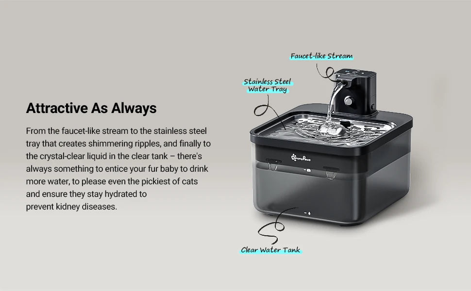 DownyPaws 2,5L Fontaine à Eau Automatique en Acier Inoxydable pour Chat 4000mAh Abreuvoir Sans Fil pour Animaux de Compagnie Batterie et Capteur Distributeur 2 en 1