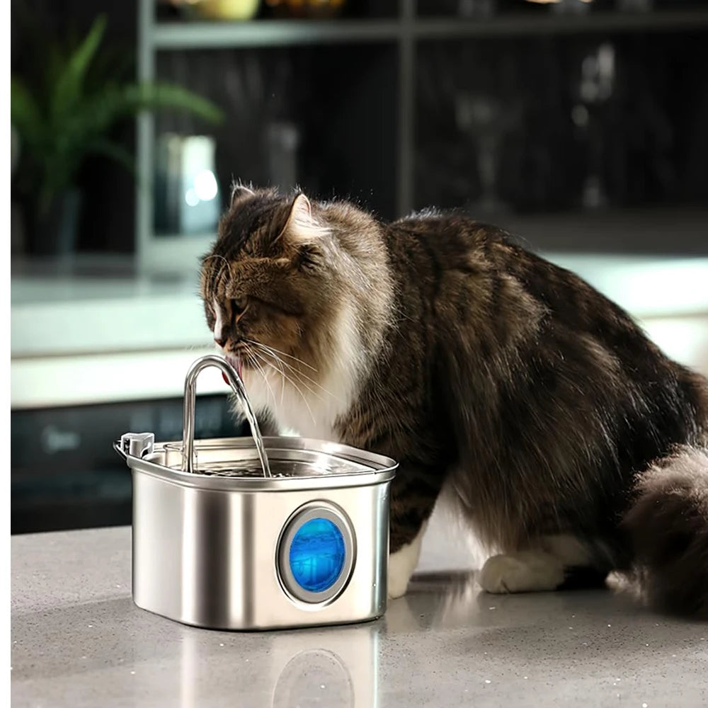 ZYFeeder 2,2 L Fontaine à eau automatique carrée en acier inoxydable pour chat, distributeur d'eau pour animaux de compagnie avec fenêtre (fiche 5 V 1 A non incluse)