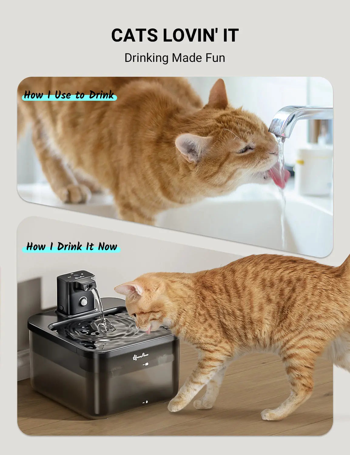 Fontaine à eau sans fil pour chat DownyPaws 2,5 L, automatique, sur batterie, avec détecteur de mouvement, distributeur d'eau pour chien