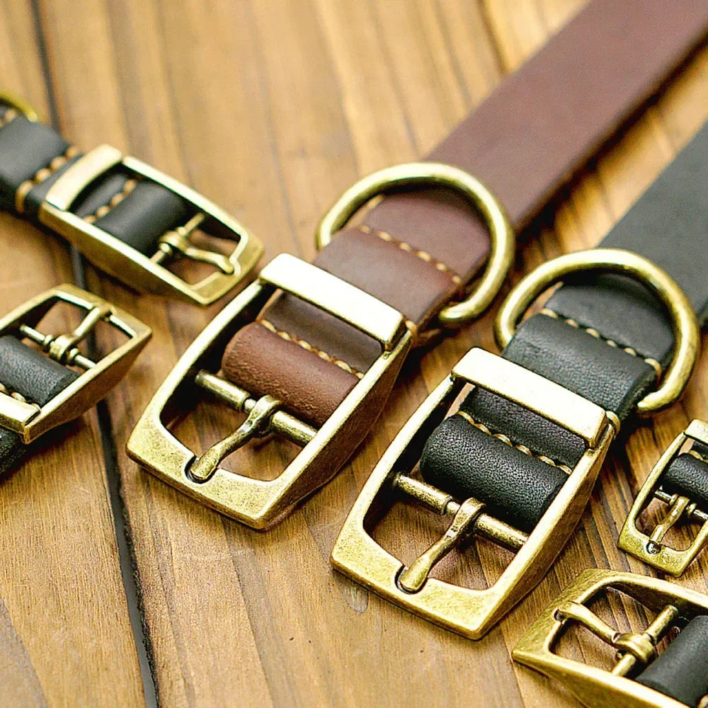 🐶 Collier en cuir pour chien, robuste et élégant – Maîtrise totale et confort maximal