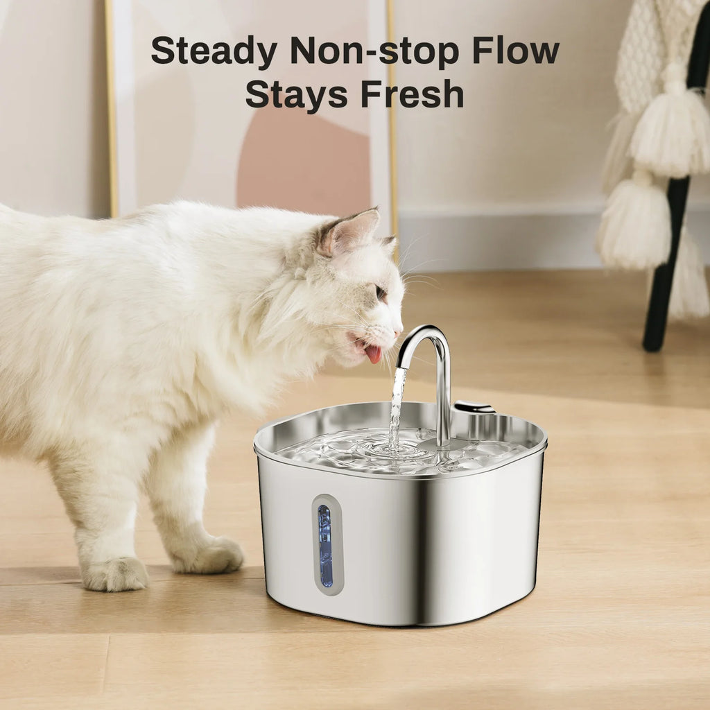ZYFeeder 2,2 L Fontaine à eau automatique carrée en acier inoxydable pour chat, distributeur d'eau pour animaux de compagnie avec fenêtre (fiche 5 V 1 A non incluse)
