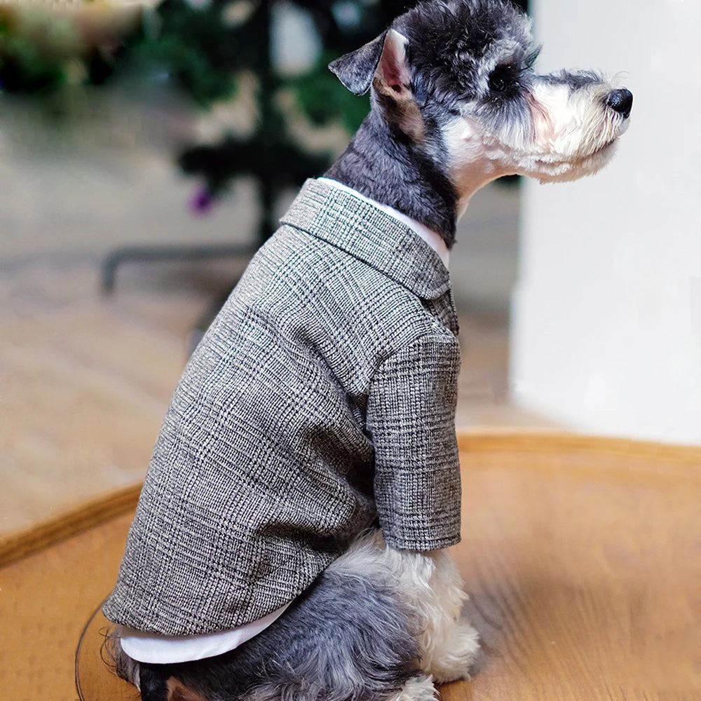🐶 Gentleman dog suit | Comfortable and premium formal style ⭐ 4.8/5 (1,200+ customers)