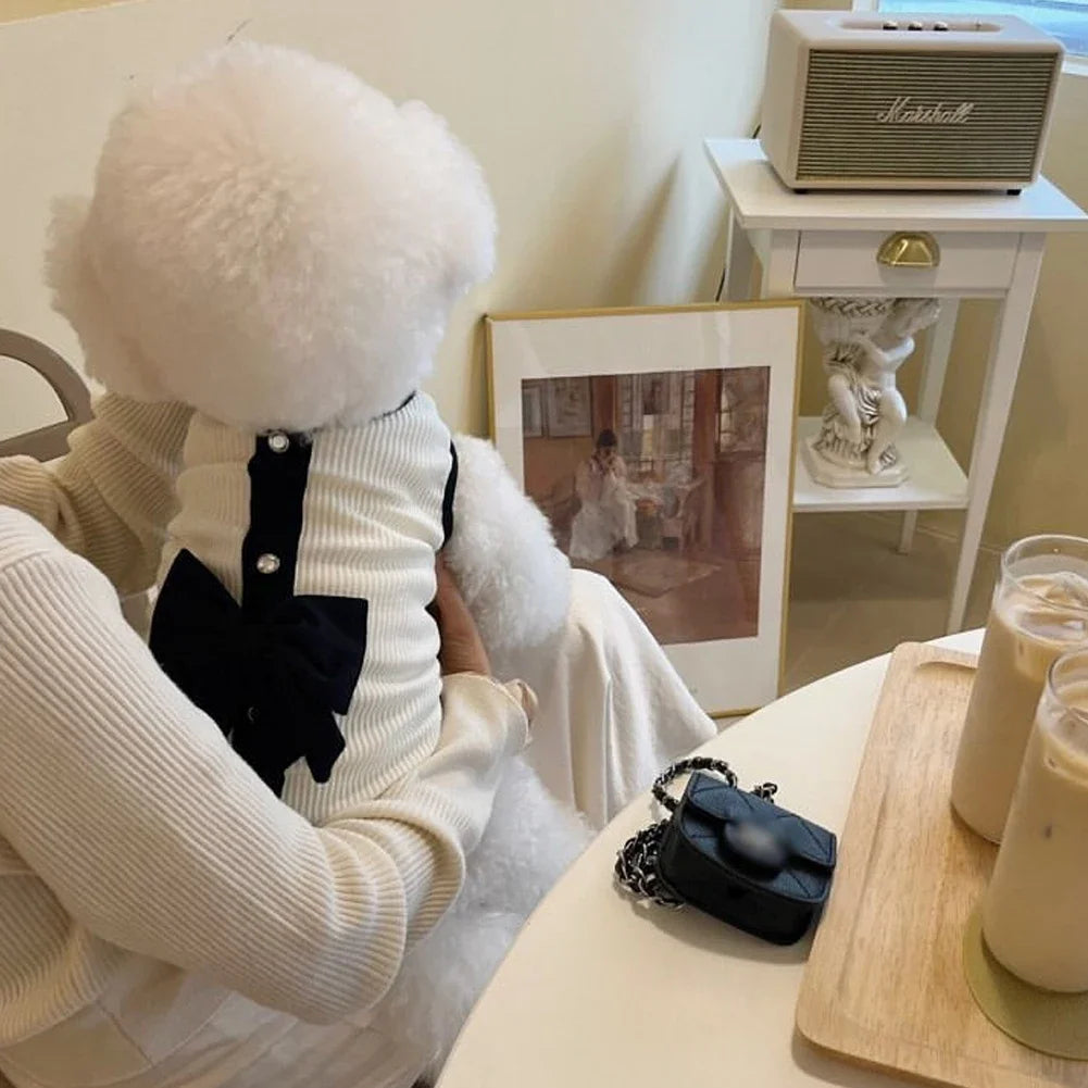 Dog Dress for Small Dogs Luxury Summer Puppy Clothes Bow Lace Dog Skirt Black White Dog T-Shirt Girls Dog Costume Chihuahua Vest