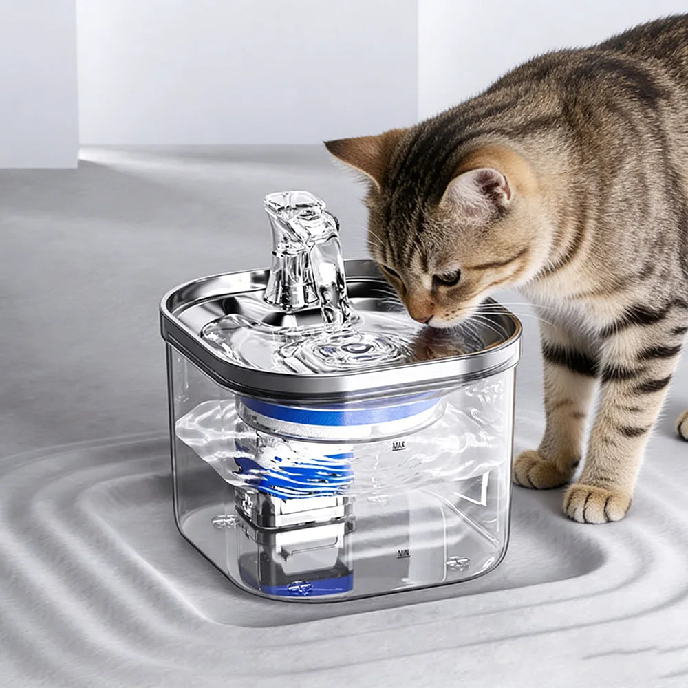Distributeur d'eau intelligent pour animaux de compagnie en acier inoxydable 2L, circulation automatique de l'eau, bol d'eau pour chats et chiens, niveau visuel 5000 mAh