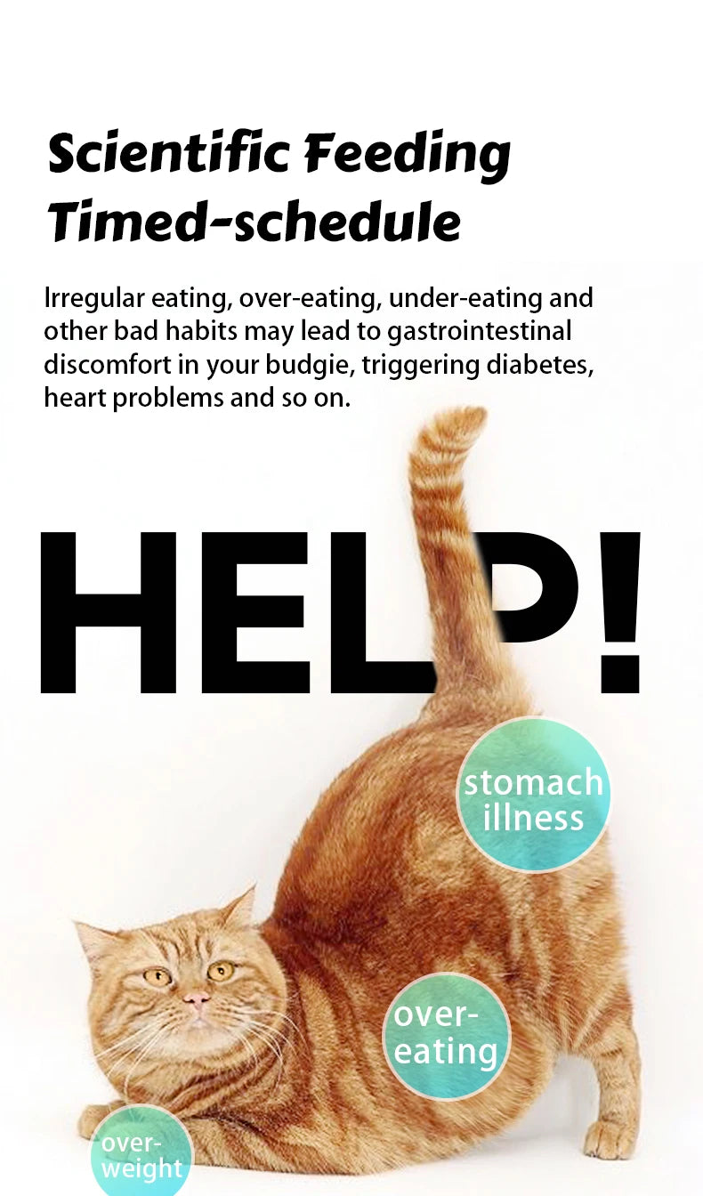 Distributeur automatique de nourriture pour chats 8L avec caméra vidéo 1080p, Wi-Fi 5G, distributeur d'aliments pour chats, enregistreur vocal intelligent pour animaux de compagnie, application Tuya, distributeur automatique pour animaux de compagnie