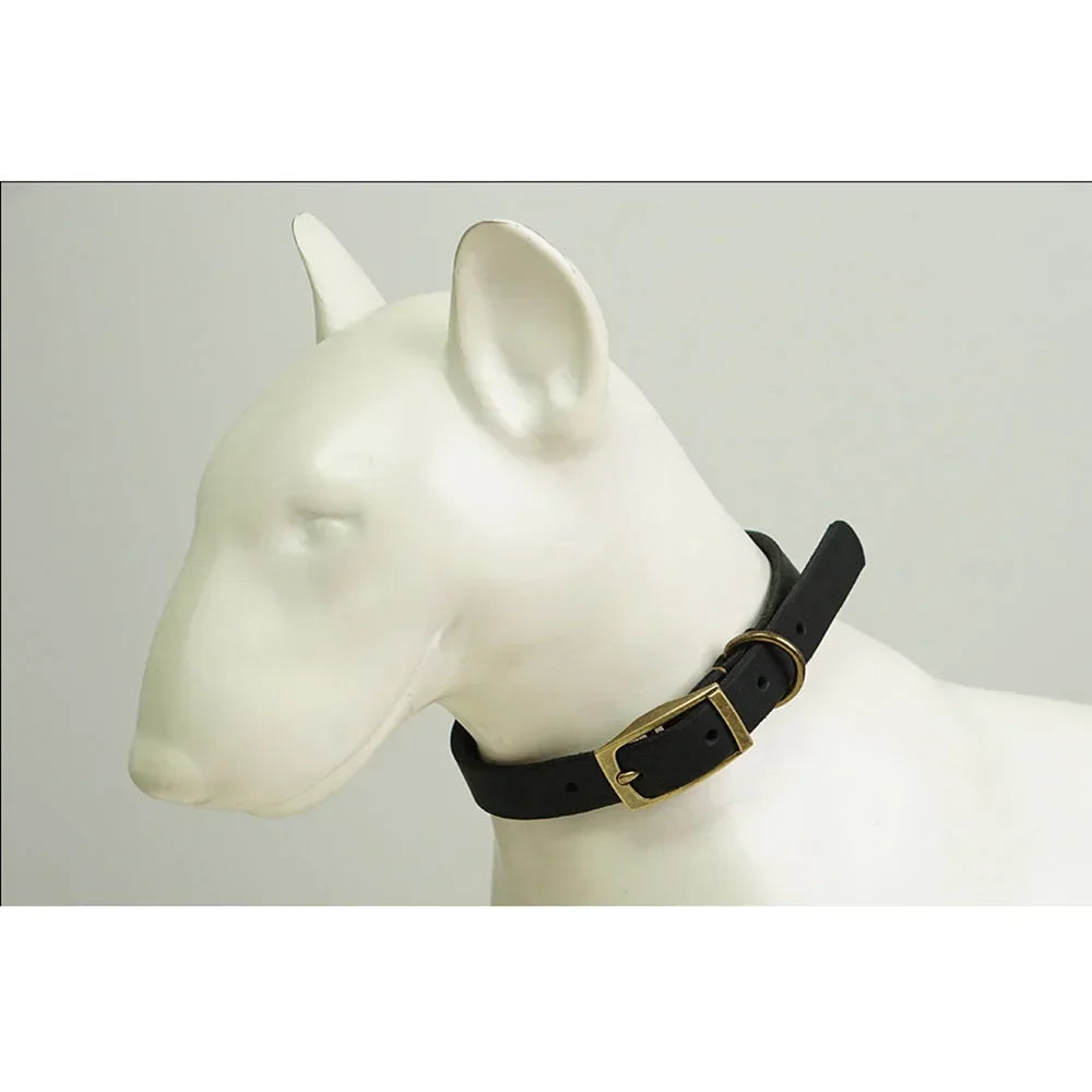 🐶 Collier en cuir pour chien, robuste et élégant – Maîtrise totale et confort maximal