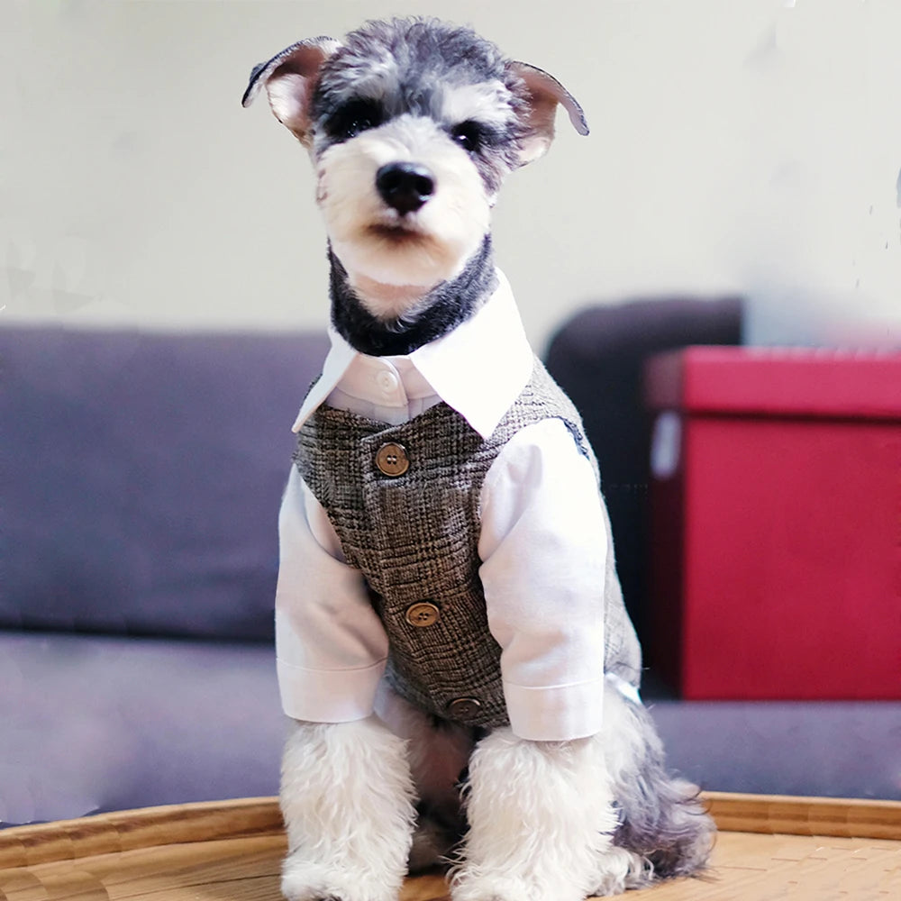 🐶 Gentleman dog suit | Comfortable and premium formal style ⭐ 4.8/5 (1,200+ customers)