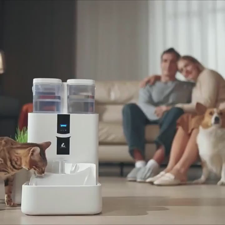 🐱🇺🇸Fontaine à eau intelligente pour chats 10L avec Wi-Fi | Autonettoyante, filtration avancée et premium ⭐ 4.9/5 (800+ clients)